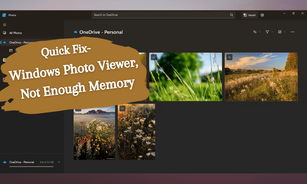 windows photo viewer can't display picture not enough memory